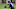 Dontay Demus, Baltimore Ravens Dontay Demus, Baltimore Ravens