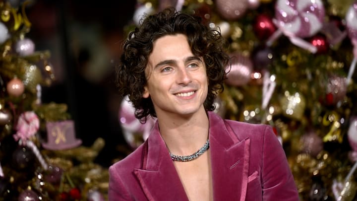 Timothée Chalamet at the premiere of 'Wonka' in London, 2023.