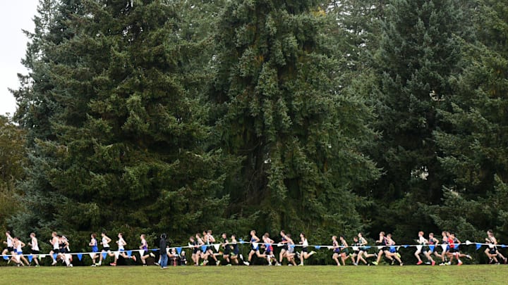 High school cross country meet.