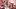 Jan 9, 2026; Atlanta, GA, USA; Indiana Hoosiers linebacker Aiden Fisher (4) raises the trophy with quarterback Fernando Mendo Jan 9, 2026; Atlanta, GA, USA; Indiana Hoosiers linebacker Aiden Fisher (4) raises the trophy with quarterback Fernando Mendo
