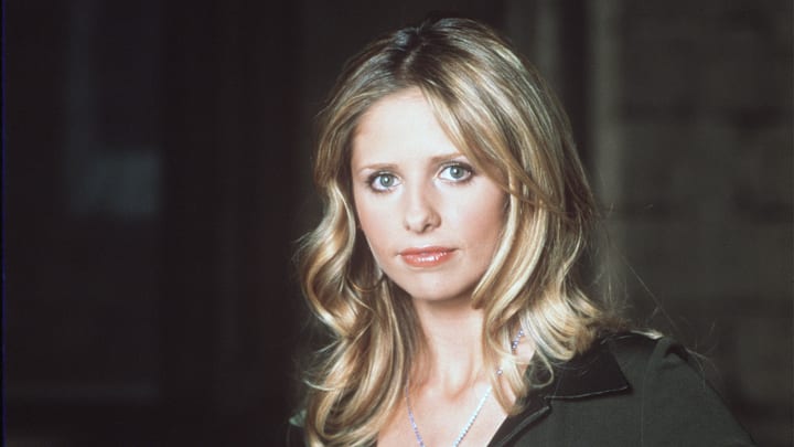 Buffy The Vampire Slayer Year 5 TV Stills