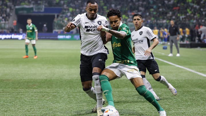 Palmeiras e Botafogo são os grandes candidatos ao título do Brasileirão