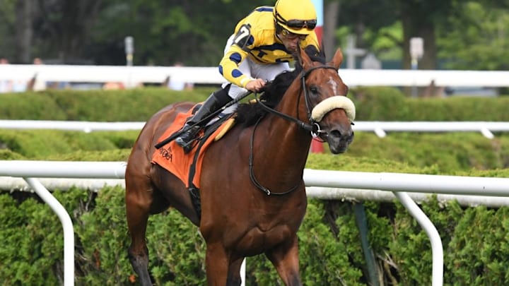 Multiple Grade 1-winner Far Bridge validated his 1-2 favoritism with a commanding victory in the Grade 2, $200,000 Bowling Green at Saratoga Race Course.
