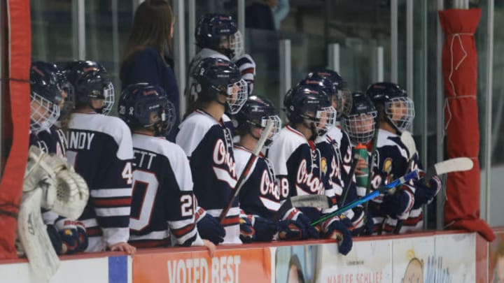 Orono faces Warroad in the Class 1A semifinals of the 2025 MSHSL girls hockey tournament.
