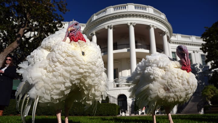 President Biden Pardons Two Turkeys Ahead Of Thanksgiving Holiday