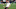 Germany v Portugal - UEFA Nations League 2025 Semi-final Germany v Portugal - UEFA Nations League 2025 Semi-final