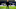 Pep Guardiola Pep Guardiola