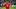FC Schalke 04 v FC Bayern München - Bundesliga 2026/27 FC Schalke 04 v FC Bayern München - Bundesliga 2026/27