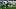 Tulane defensive lineman Derrick Shepard, Jr