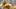College Football Fans Furious Over Tennessee's Announcement for Alabama Game College Football Fans Furious Over Tennessee's Announcement for Alabama Game