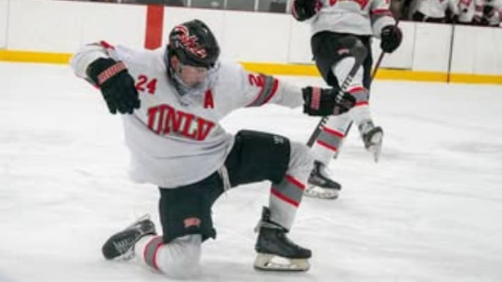 UNLV Hockey celebrates after a goal UNLV Hockey celebrates after a goal