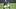 Milwaukee Brewers infield prospect Luis Pena Milwaukee Brewers infield prospect Luis Pena