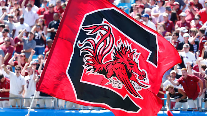 South Carolina Gamecocks flag