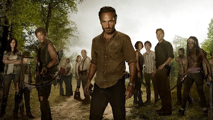 (L to R) Lori Grimes (Sarah Wayne Callies); Carl Grimes (Chandler Riggs); Daryl Dixon (Norman Reedus); Carol (Melissa Suzanne McBride); T-Dog (Robert 'IronE' Singleton); Beth Greene (Emily Kinney); Hershel Greene (Scott Wilson); Rick Grimes (Andrew Lincoln); Maggie Greene (Lauren Cohan); Glenn (Steven Yeun); The Governor (David Morrissey); Michonne (Danai Gurira) and Andrea (Laurie Holden) - The Walking Dead - Season 3, Gallery
