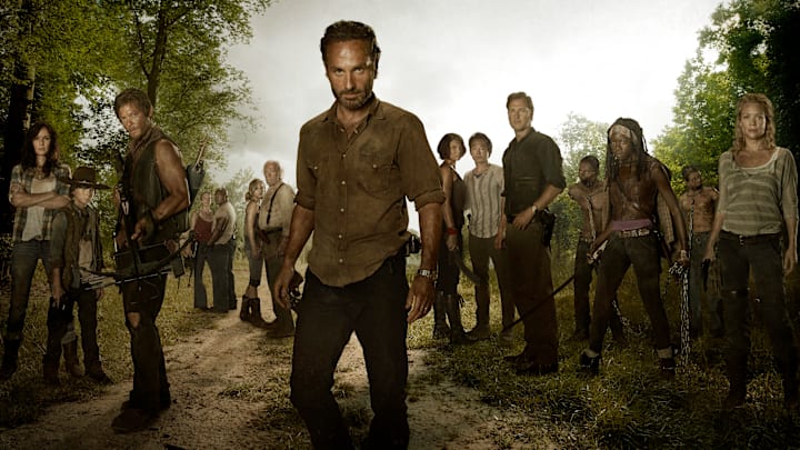 (L to R) Lori Grimes (Sarah Wayne Callies); Carl Grimes (Chandler Riggs); Daryl Dixon (Norman Reedus); Carol (Melissa Suzanne McBride); T-Dog (Robert 'IronE' Singleton); Beth Greene (Emily Kinney); Hershel Greene (Scott Wilson); Rick Grimes (Andrew Lincoln); Maggie Greene (Lauren Cohan); Glenn (Steven Yeun); The Governor (David Morrissey); Michonne (Danai Gurira) and Andrea (Laurie Holden) - The Walking Dead - Season 3, Gallery - Photo Credit: Frank Ockenfels/AMC