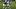 New England Patriots linebacker Namdi Obaizor New England Patriots linebacker Namdi Obaizor