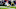 NY Jets NY Jets