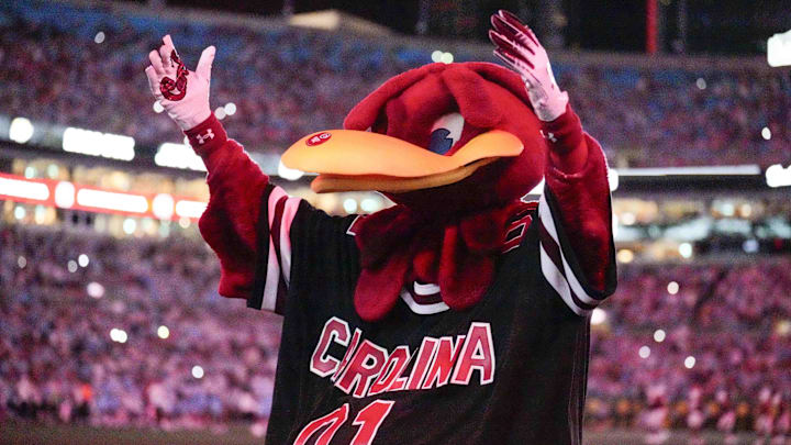 Sep 2, 2023; Charlotte, North Carolina, USA; South Carolina Gamecocks mascot Cocky performs during the second half against the North Carolina Tar Heels at Bank of America Stadium. Mandatory Credit: Jim Dedmon-Imagn Images