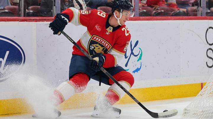 Apr 15, 2026; Sunrise, Florida, USA; Florida Panthers left wing Cole Reinhardt (29) moves the puck against the Detroit Red Wings during the first period at Amerant Bank Arena. Mandatory Credit: Sam Navarro-Imagn Images Apr 15, 2026; Sunrise, Florida, USA; Florida Panthers left wing Cole Reinhardt (29) moves the puck against the Detroit Red Wings during the first period at Amerant Bank Arena. Mandatory Credit: Sam Navarro-Imagn Images