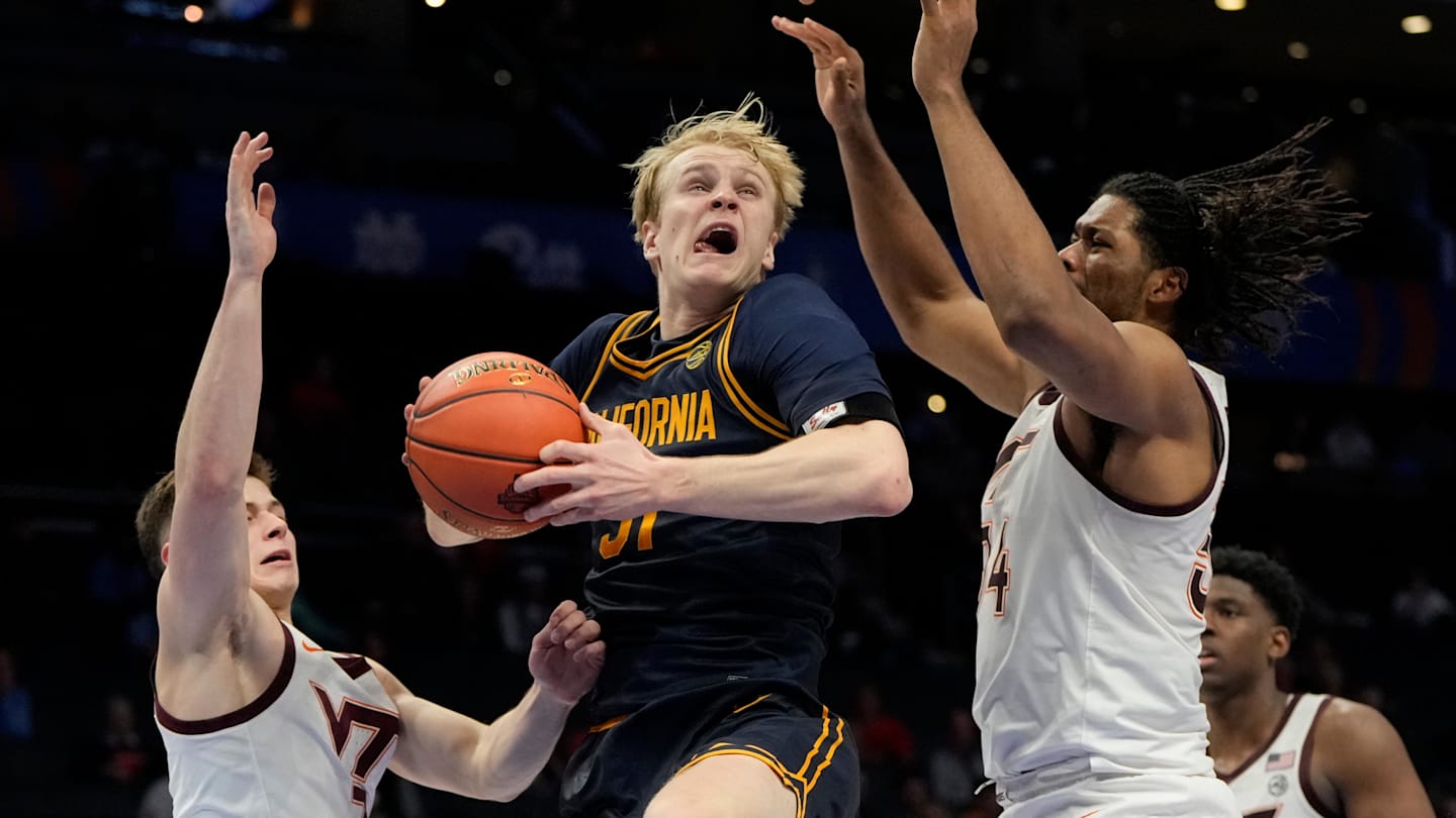 Cal Transfer Rytis Petraitis Commits to New Mexico