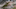 TWD_905_JLD_0620_03956_RT TWD_905_JLD_0620_03956_RT