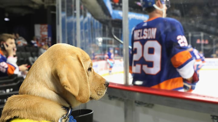 Nashville Predators v New York Islanders
