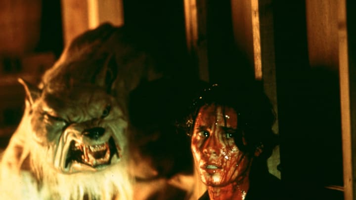 The 21st century has given us many werewolf movies, ranging from Ginger Snaps (pictured) to this year's Wolf Man.