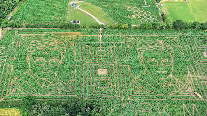 Harry Potter and the Corn Maze of Secrets.