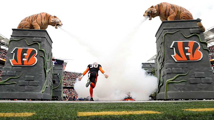 Baltimore Ravens v Cincinnati Bengals