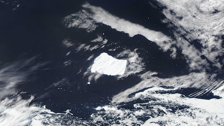 Shot of A23a taken from space.