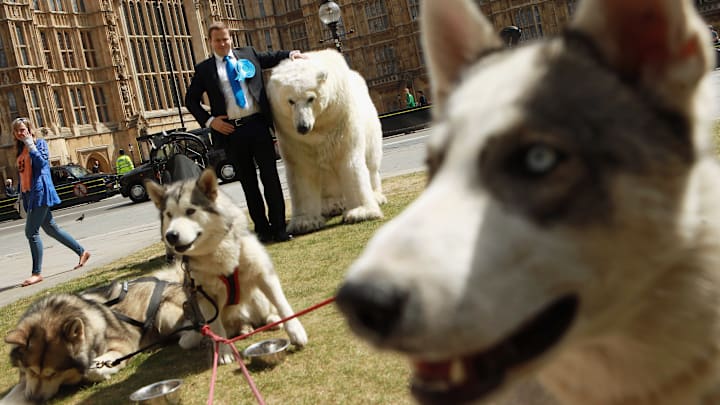 Greenpeace Protest Over The Government's Broken Environmental Promises