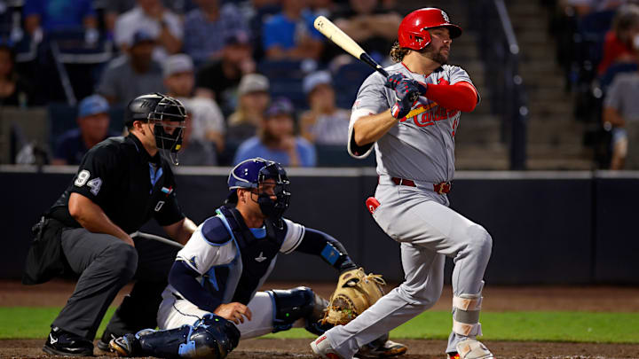 St. Louis Cardinals v Tampa Bay Rays