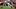 Jaylen Waddle, Denver Broncos, 2026 Fantasy Footbal Jaylen Waddle, Denver Broncos, 2026 Fantasy Footbal