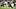 New England Patriots quarterback Tommy DeVito (16)