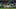 Mexico v Ecuador - FIFA World Cup 2026 - Round of 32 Mexico v Ecuador - FIFA World Cup 2026 - Round of 32