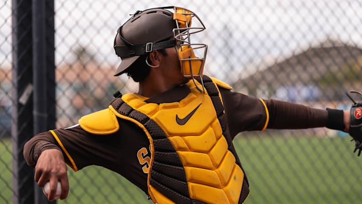 2025 MLB Spring Breakout
