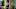 Return to Downton Abbey: A Grand Event - Season 2019 Return to Downton Abbey: A Grand Event - Season 2019