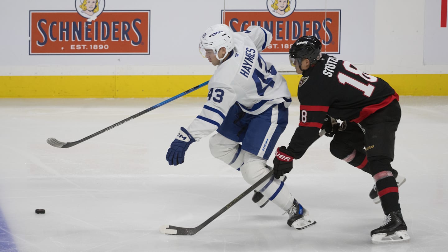 Maple Leafs prospect turning heads in the AHL