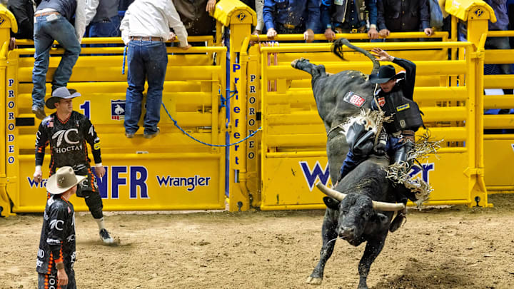 Bull riding action at the 2023 Wrangler National Finals Rodeo Bull riding action at the 2023 Wrangler National Finals Rodeo