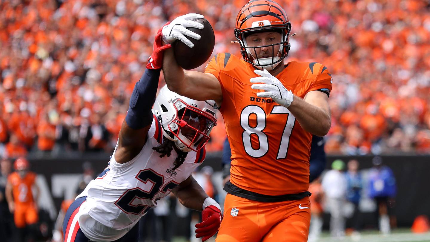 New Bengals Safety Returns to Cincinnati After Six Weeks Awa