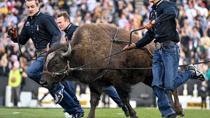 Colorado Buffaloes