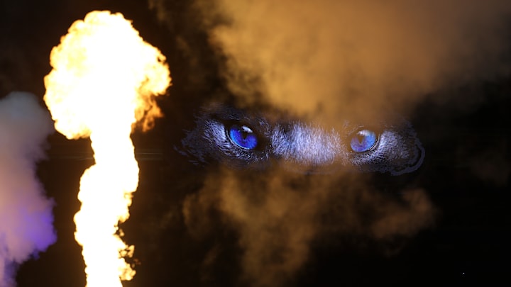 Leicester City FC v Brentford FC - Premier League