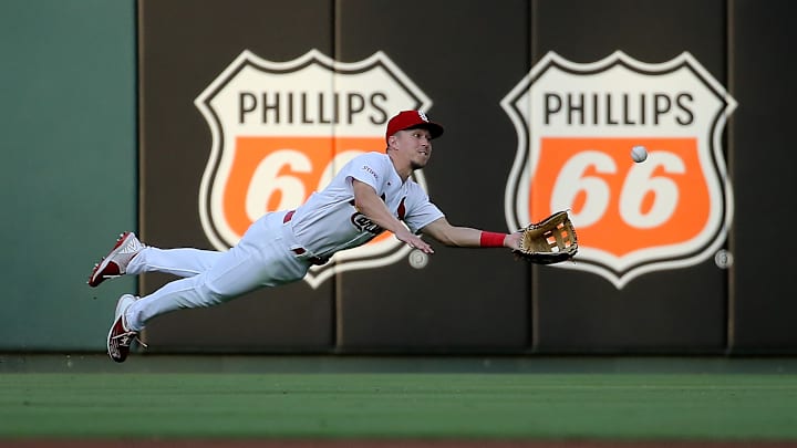 Houston Astros v St. Louis Cardinals