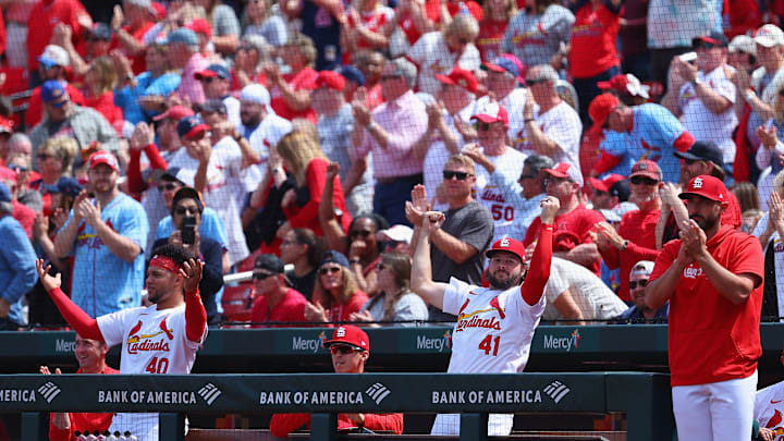 Arizona Diamondbacks v St. Louis Cardinals