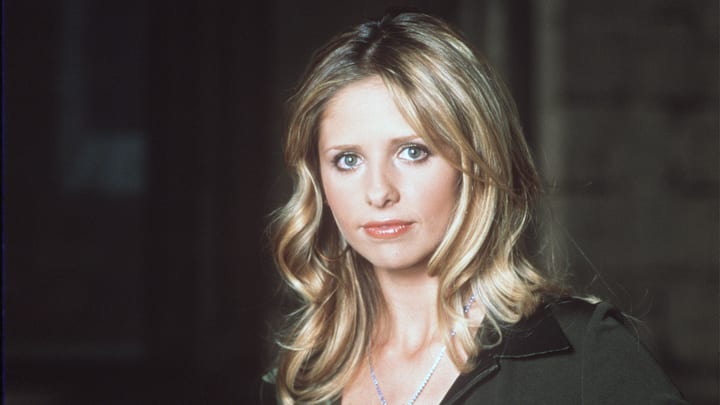 Buffy The Vampire Slayer Year 5 TV Stills