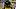 Pittsburgh Steelers linebacker Elandon Roberts Pittsburgh Steelers linebacker Elandon Roberts