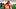 Denver Broncos running back Jonah Coleman, Fantasy Football Denver Broncos running back Jonah Coleman, Fantasy Football