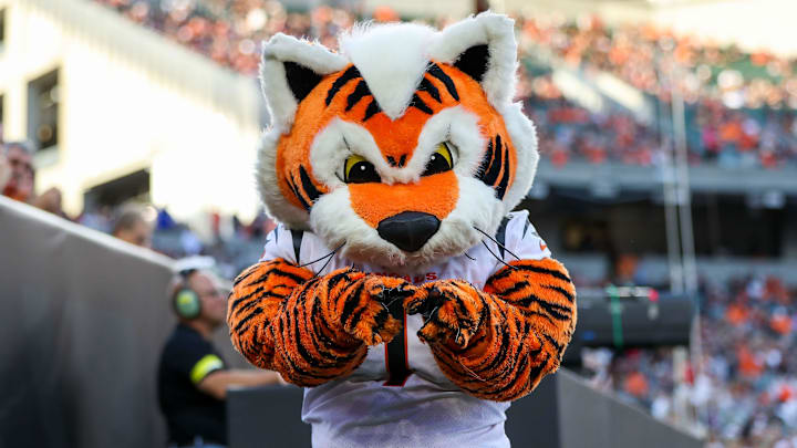 Aug 12, 2022; Cincinnati, Ohio, USA; Cincinnati Bengals mascot, Who Dey, during the first half