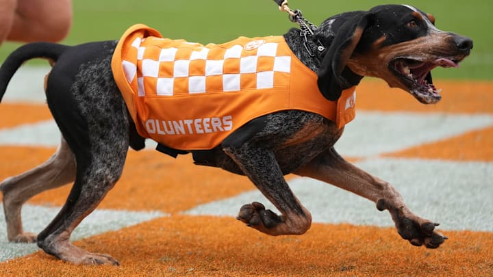 Smokey XI makes an appearance on the field at the NCAA college football game between Tennessee and ETSU on September 6, 2025, in Knoxville, Tennessee.