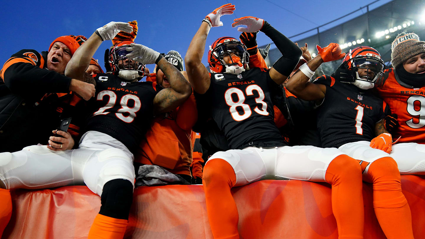 Did the bengals ever won a superbowl discount